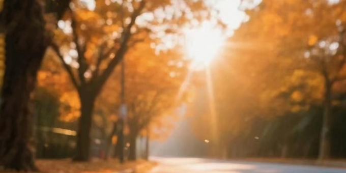 隐藏在时光褶皱里最珍贵的答案。