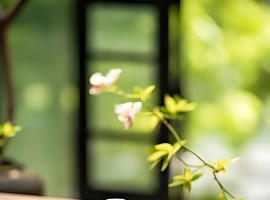 岁月静好，是心有归处的寻常。