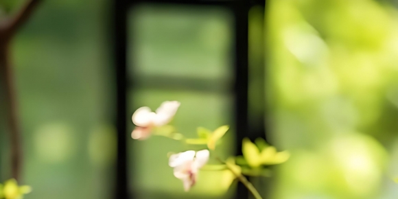 岁月静好，是心有归处的寻常。