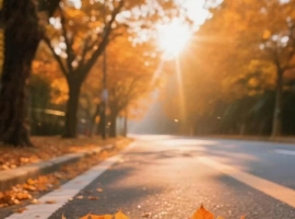 隐藏在时光褶皱里最珍贵的答案。