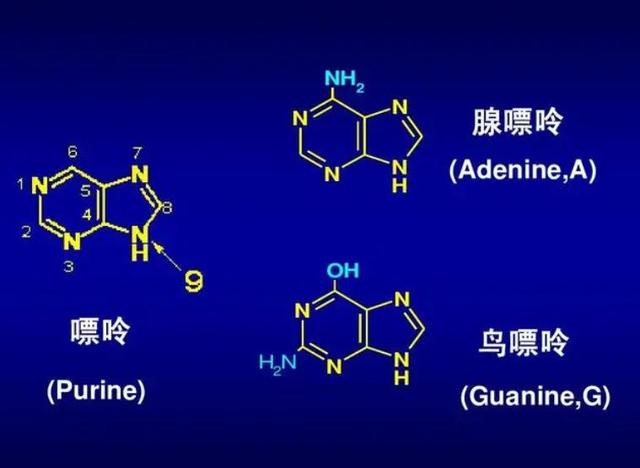 蔬菜中的“嘌呤大王”被揭晓？医生：这7种蔬菜尽量远离。