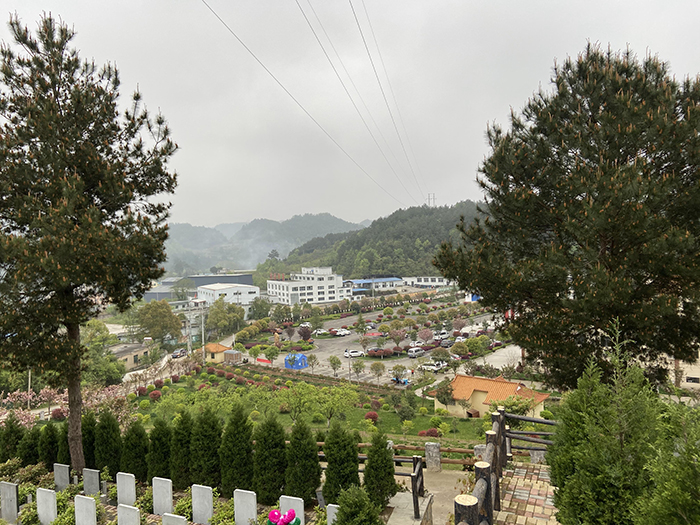 2020年4月4日 探望杨哥 你永远活在我们心中