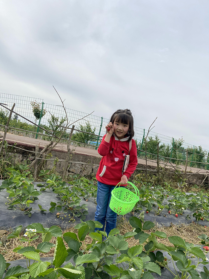 2020年4月26日 相约草莓园 红红的草莓与红红的美女姐姐