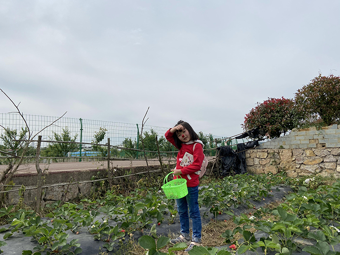 2020年4月26日 相约草莓园 红红的草莓与红红的美女姐姐