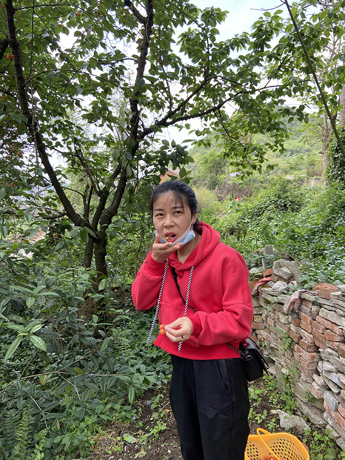 2020年5月1日 “五.一”樱桃的季节里 你我相约在世纪城