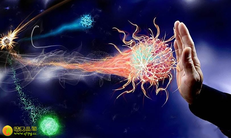 干细胞移植早发性卵巢功能不全的研究进展