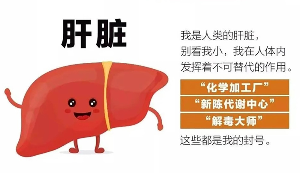 肝功能异常，或会出现“2痒，3黑”如果你有请尽早检查。