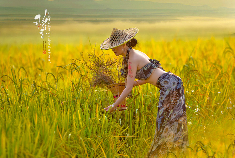 《稻香》周杰伦 - MV 2160P修复版 简体