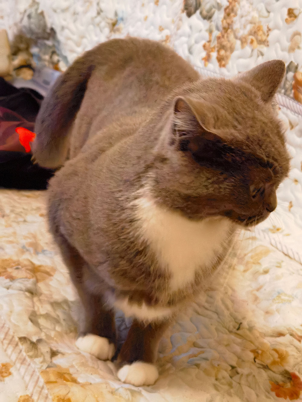 20240105 我们相约在金金家 享受美食 快乐满满。