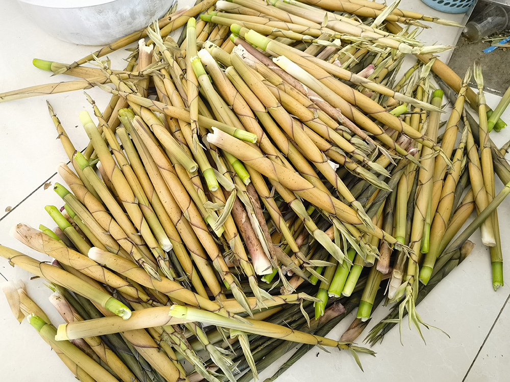 20240428 天河潭的竹笋 美味小龙虾 让我们一起留住美好记忆！