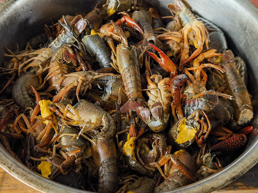 20240428 天河潭的竹笋 美味小龙虾 让我们一起留住美好记忆！