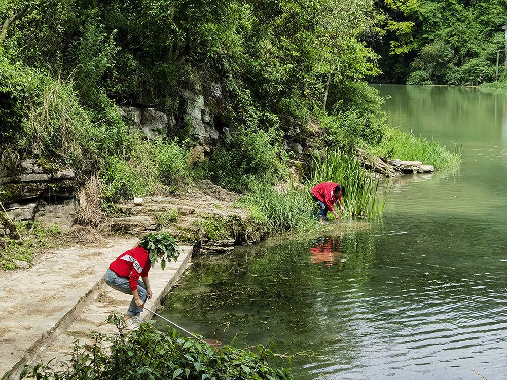 20240510 天河潭美景 螺蛳的美味 红衣美女就是这画面的亮点！