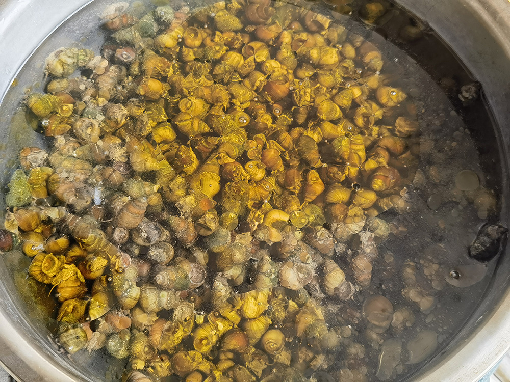 20240510 天河潭美景 螺蛳的美味 红衣美女就是这画面的亮点！