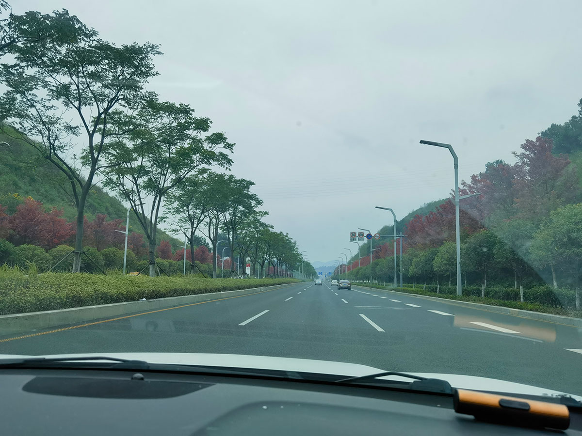 20241006 国庆假期相约在黔陶 沐浴阳光 享受野生菌的美味！