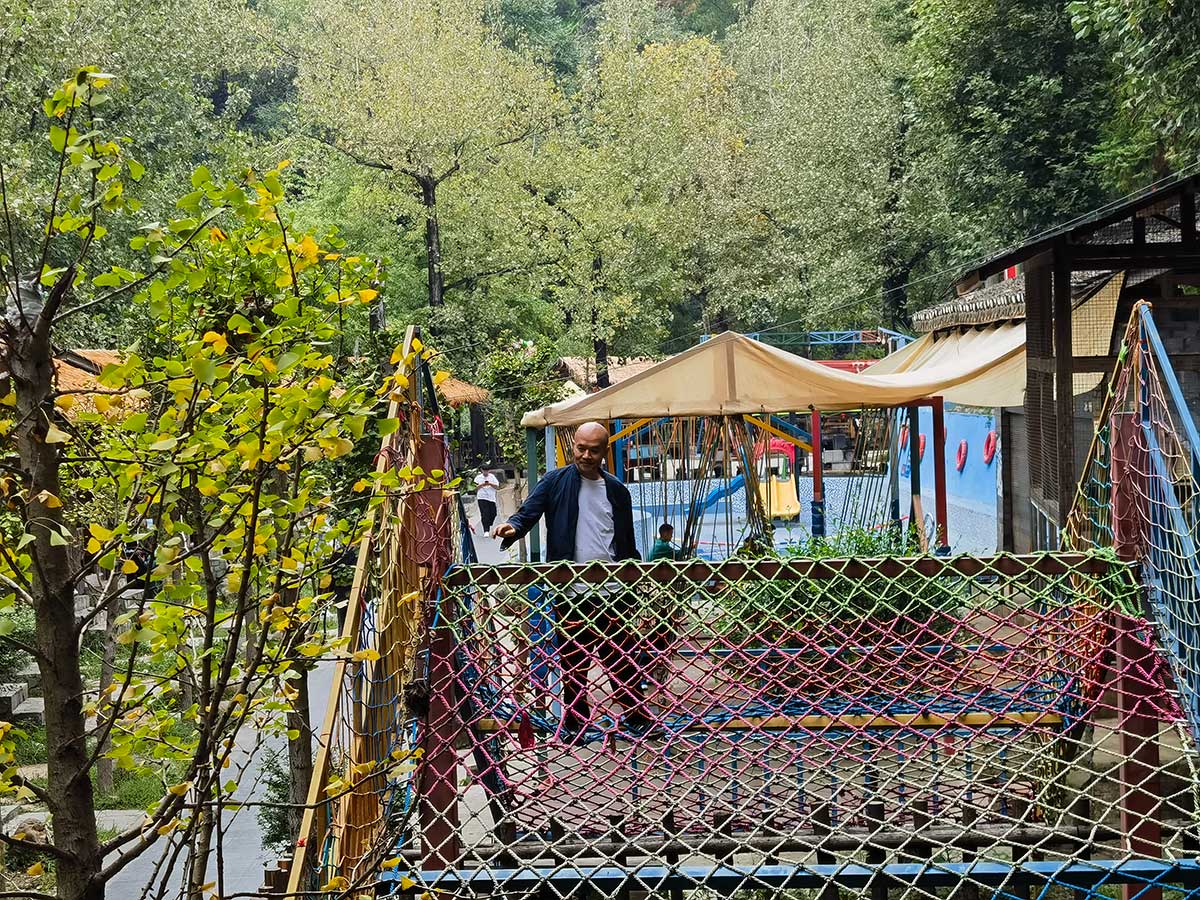 20241006 国庆假期相约在黔陶 沐浴阳光 享受野生菌的美味！