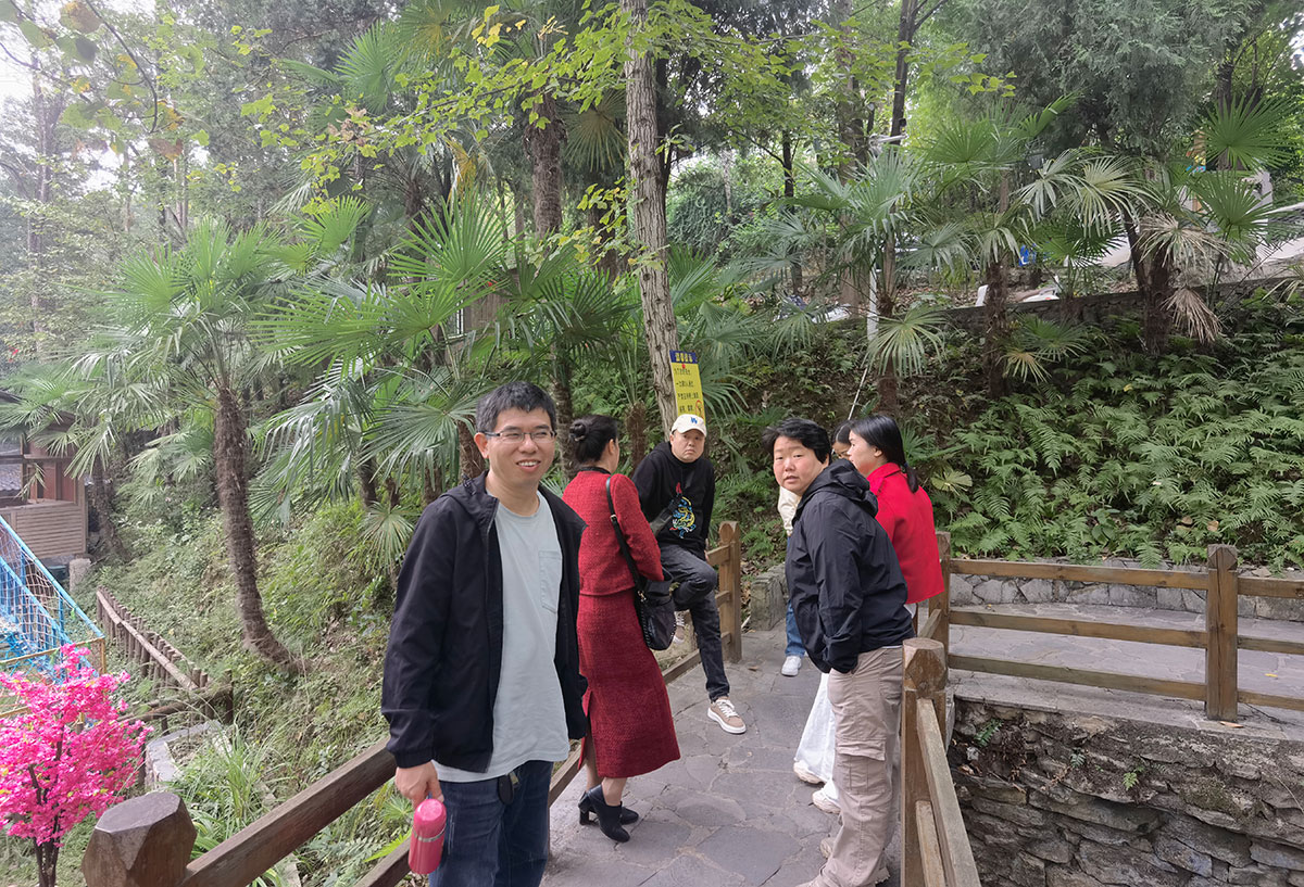 20241006 国庆假期相约在黔陶 沐浴阳光 享受野生菌的美味！