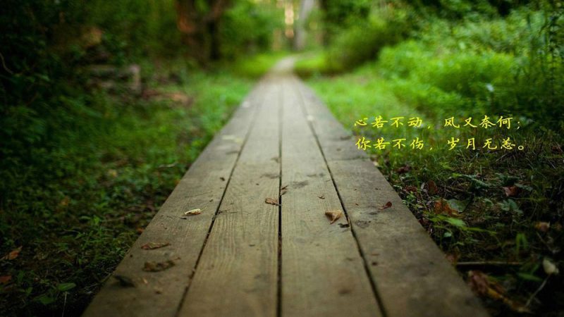 坦坦荡荡过生活,简简单单走人生。-晴时絮语