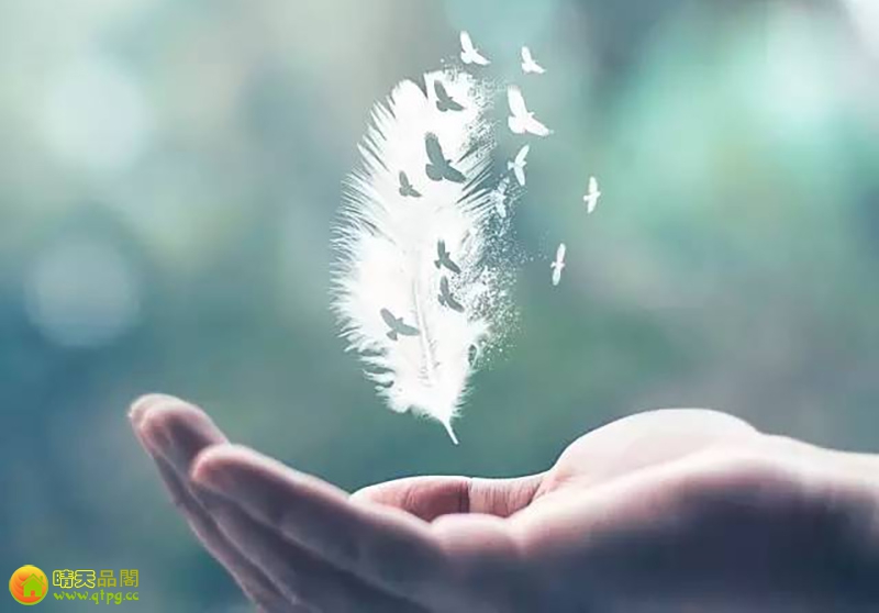 人生，依旧难免郁郁葱葱纷杂，愿独守一方清宁。 - 晴时絮语-晴时絮语